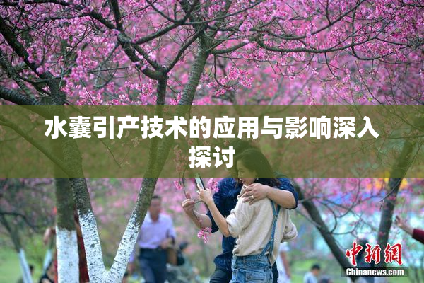 水囊引产技术的应用与影响深入探讨