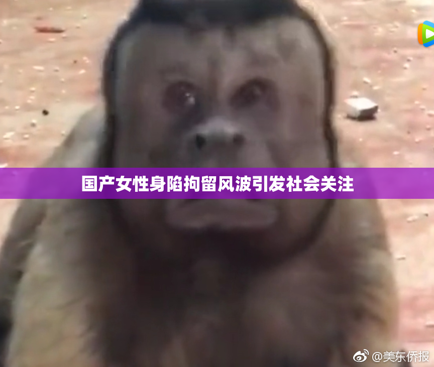 国产女性身陷拘留风波引发社会关注