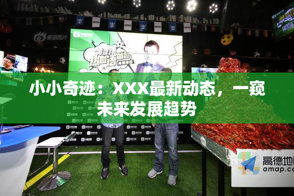 小小奇迹：XXX最新动态，一窥未来发展趋势