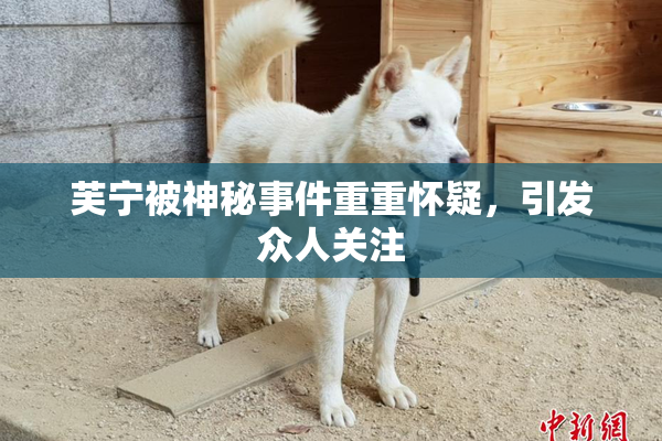 芙宁被神秘事件重重怀疑，引发众人关注