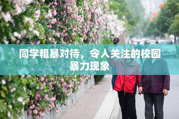 同学粗暴对待，令人关注的校园暴力现象
