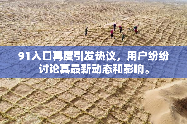 91入口再度引发热议，用户纷纷讨论其最新动态和影响。