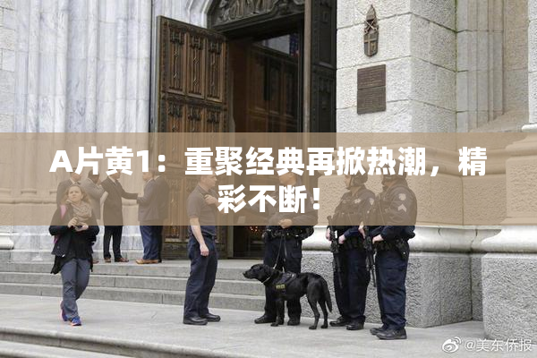 A片黄1：重聚经典再掀热潮，精彩不断！
