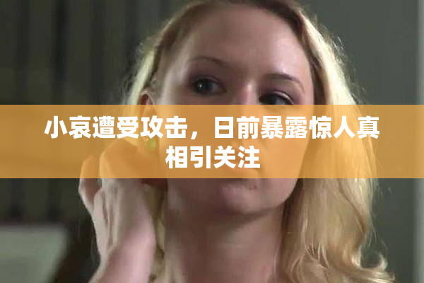 小哀遭受攻击，日前暴露惊人真相引关注