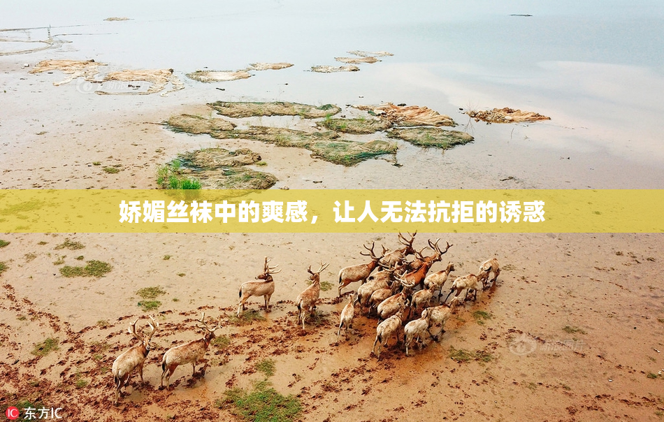 娇媚丝袜中的爽感，让人无法抗拒的诱惑