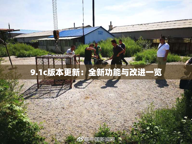 9.1c版本更新：全新功能与改进一览