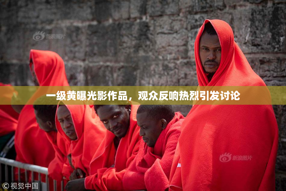 一级黄曝光影作品，观众反响热烈引发讨论