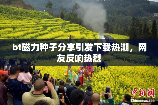 bt磁力种子分享引发下载热潮，网友反响热烈