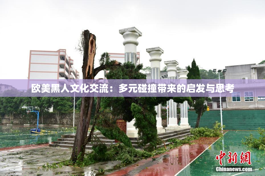 欧美黑人文化交流：多元碰撞带来的启发与思考