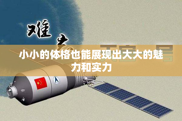 小小的体格也能展现出大大的魅力和实力