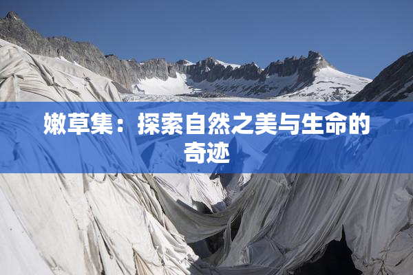 嫩草集：探索自然之美与生命的奇迹