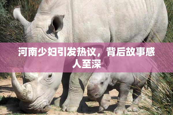 河南少妇引发热议，背后故事感人至深