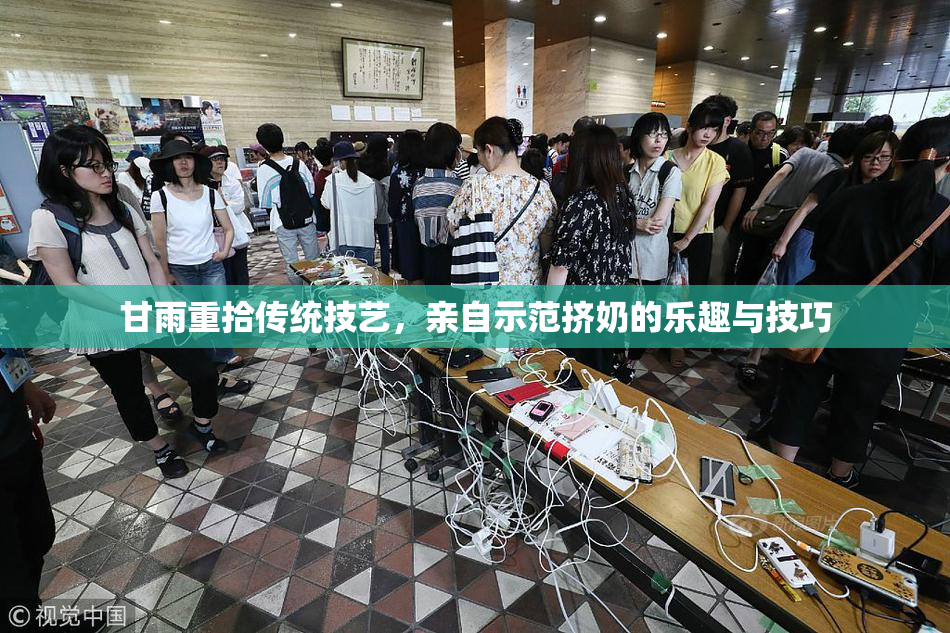 甘雨重拾传统技艺，亲自示范挤奶的乐趣与技巧