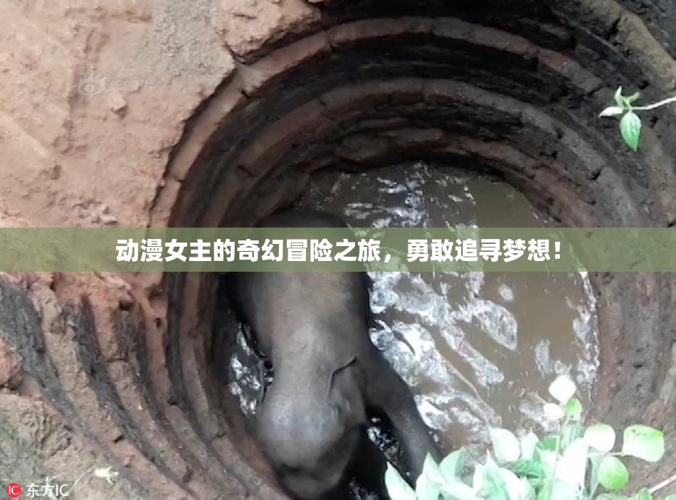动漫女主的奇幻冒险之旅，勇敢追寻梦想！