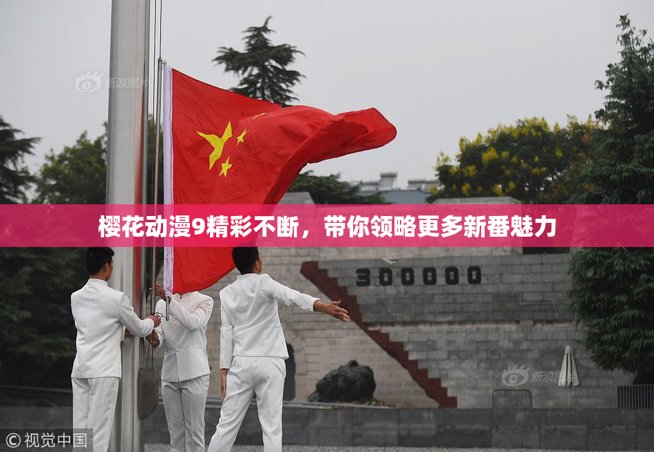 樱花动漫9精彩不断，带你领略更多新番魅力