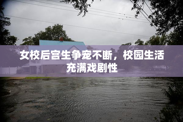 女校后宫生争宠不断，校园生活充满戏剧性