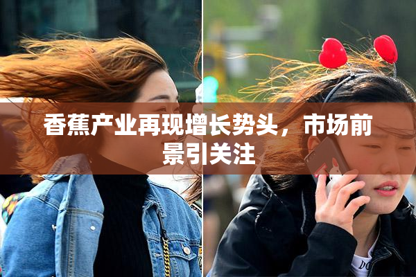 香蕉产业再现增长势头，市场前景引关注