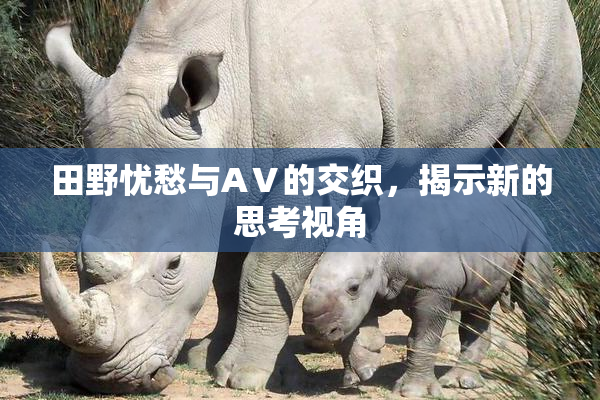 田野忧愁与AⅤ的交织，揭示新的思考视角