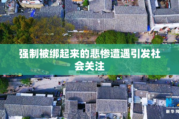 强制被绑起来的悲惨遭遇引发社会关注