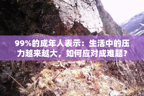 99%的成年人表示：生活中的压力越来越大，如何应对成难题？