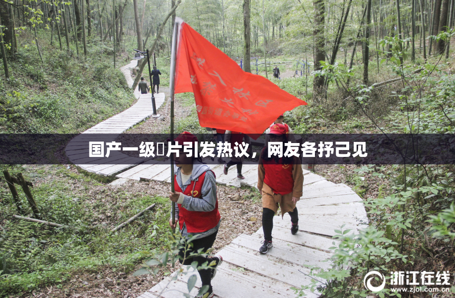 国产一级婬片引发热议，网友各抒己见