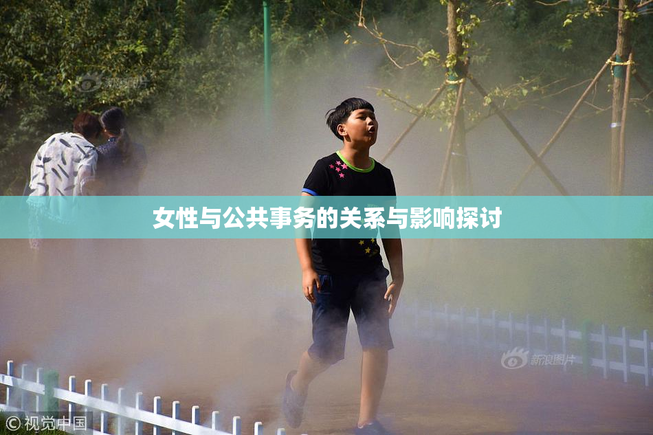 女性与公共事务的关系与影响探讨