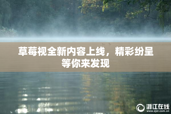 草莓视全新内容上线，精彩纷呈等你来发现
