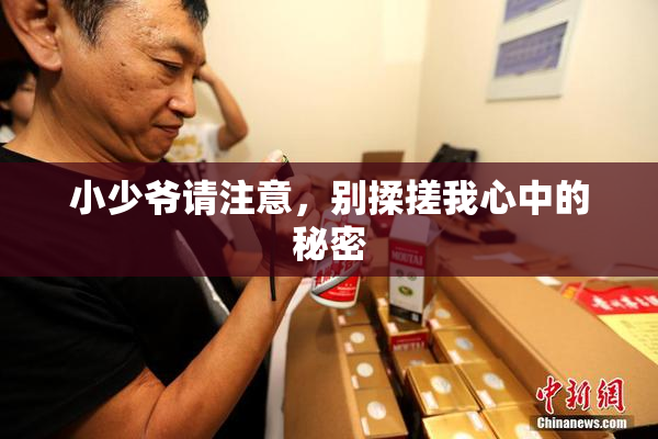 小少爷请注意，别揉搓我心中的秘密