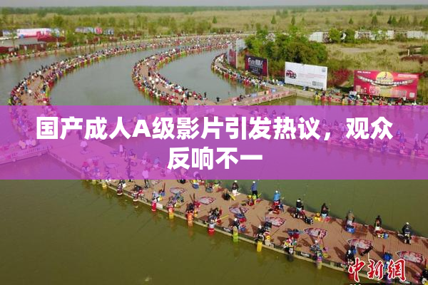 国产成人A级影片引发热议，观众反响不一