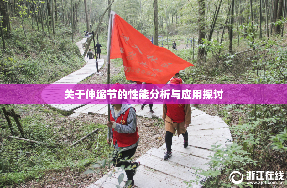 关于伸缩节的性能分析与应用探讨