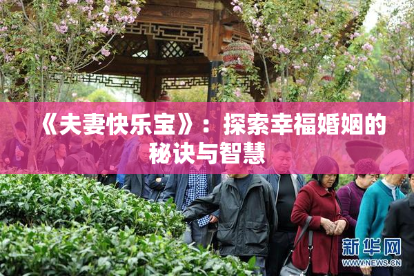 《夫妻快乐宝》：探索幸福婚姻的秘诀与智慧