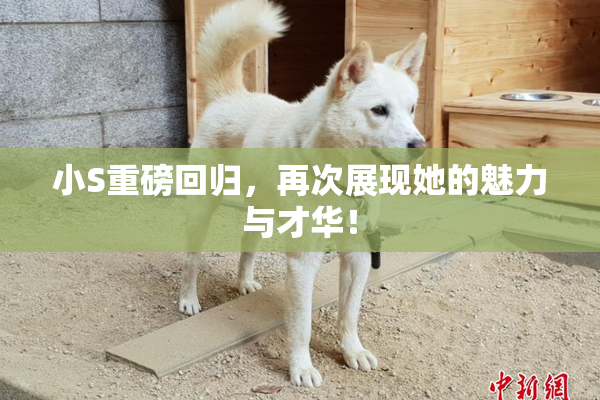 小S重磅回归，再次展现她的魅力与才华！