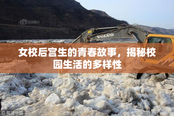 女校后宫生的青春故事，揭秘校园生活的多样性