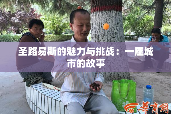 圣路易斯的魅力与挑战：一座城市的故事