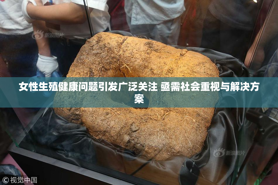 女性生殖健康问题引发广泛关注 亟需社会重视与解决方案