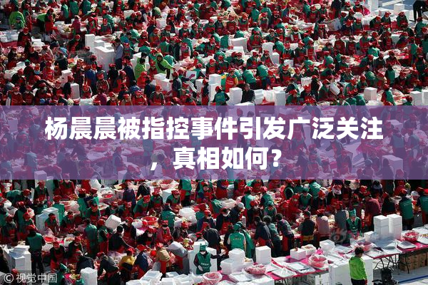杨晨晨被指控事件引发广泛关注，真相如何？