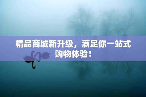 精品商城新升级，满足你一站式购物体验！