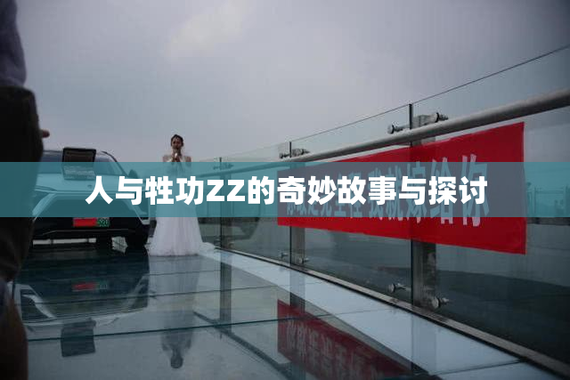 人与牲功ZZ的奇妙故事与探讨