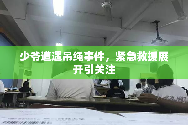 少爷遭遇吊绳事件，紧急救援展开引关注