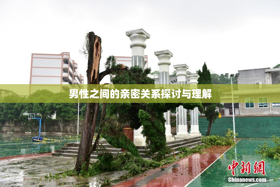 男性之间的亲密关系探讨与理解