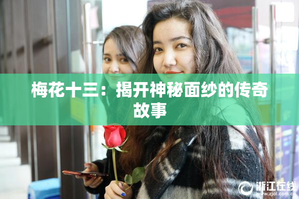 梅花十三：揭开神秘面纱的传奇故事