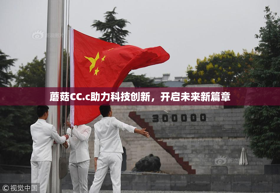 蘑菇CC.c助力科技创新，开启未来新篇章