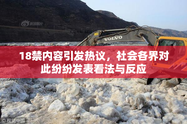 18禁内容引发热议，社会各界对此纷纷发表看法与反应