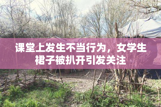 课堂上发生不当行为，女学生裙子被扒开引发关注