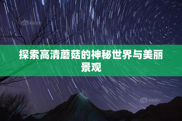探索高清蘑菇的神秘世界与美丽景观
