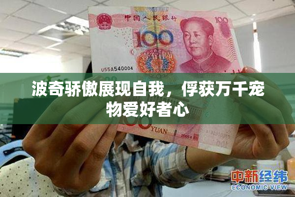 波奇骄傲展现自我，俘获万千宠物爱好者心