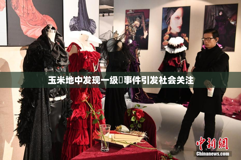 玉米地中发现一级婬事件引发社会关注