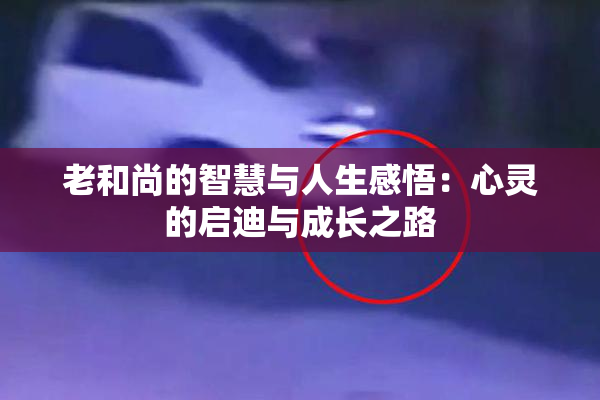 老和尚的智慧与人生感悟：心灵的启迪与成长之路
