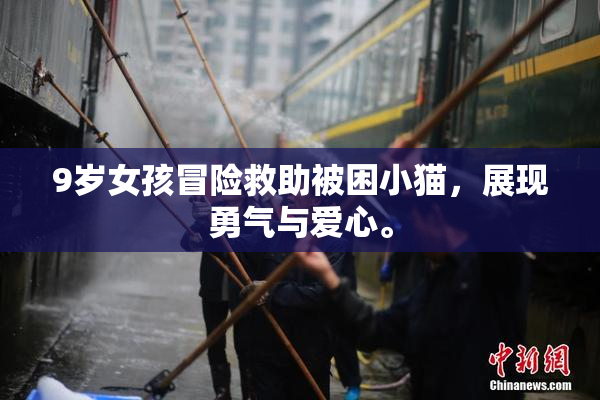 9岁女孩冒险救助被困小猫，展现勇气与爱心。