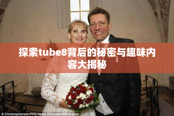 探索tube8背后的秘密与趣味内容大揭秘